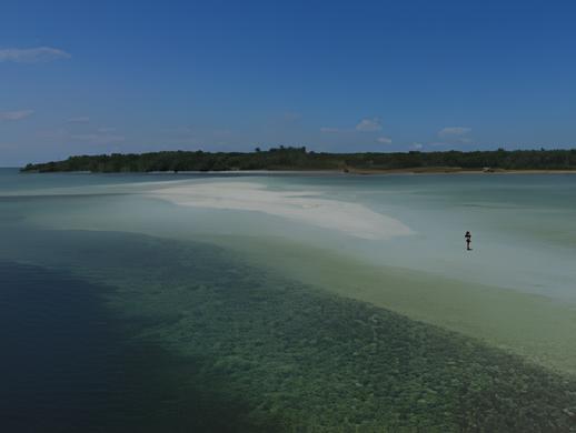Desa Wisata Cempedak Jaya
